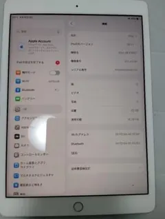iPad Pro10.5インチ 256GB バッテリー劣化あり ※ジャンク扱い - メルカリ