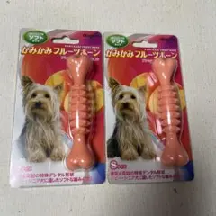 犬用おもちゃかみかみフルーツボーン Sサイズ 2個セット　新品未使用品のサムネイル