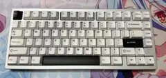 Rainy75 Pro シルバー COCOA軸【美品】 - メルカリ