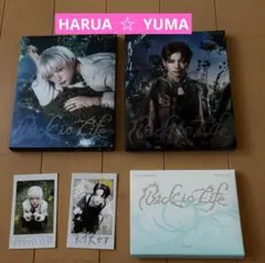 &TEAM Back to Life ハルア　ユウマ　 ミニCD フォトカード