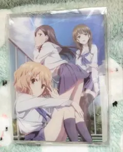 花咲くいろは クリアファイル 22枚セット 2025年最新】花咲くいろは クリアファイルの人気アイテム - メルカリ