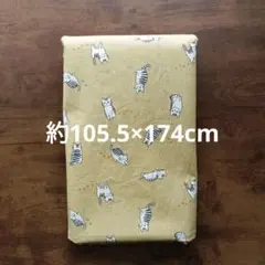 Item thumbnail for item 7ce6a938-3721-4ce9-b9d2-a988c1f7beba