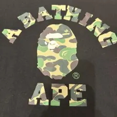 Item thumbnail for item ede4f270-67da-40a6-9d84-5bfe6c80506c