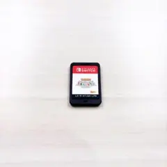 Nintendo Switch 牧場物語　再会のミネラルタウン　ソフトのみ