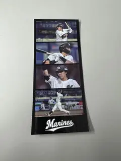 2025年最新】フォトグレイカード &teamの人気アイテム - メルカリ