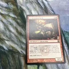 トンネルのイグナス/Tunnel Ignus SOM 日本語 JP