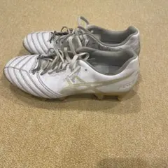 アシック　DSライト エクスフライ プロ　取り替え式