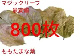 2026年最新】マジックリーフの人気アイテム - メルカリ