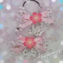 ちゃぬす様 リクエスト 3点 まとめ商品