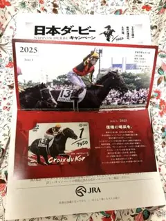⭐︎使用済み　希少　レア　日本ダービー 2025 クロワデュノール