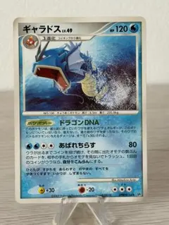 ポケモンカード ギャラドス LV.49