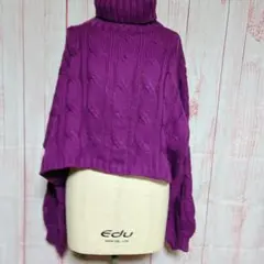 ニット 紫 ケーブルニット パープル クロップド丈