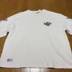 VISION STREET WEAR（ロンT／スウェット）
