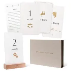 Item thumbnail for item c6fce2ed-5d90-4280-9ad1-d9abb3748a6a