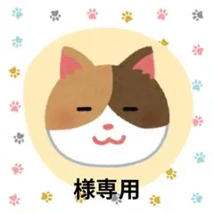 専用