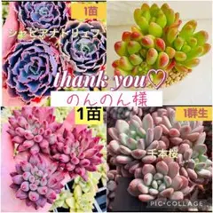 のんのん様 リクエスト 4点 まとめ商品