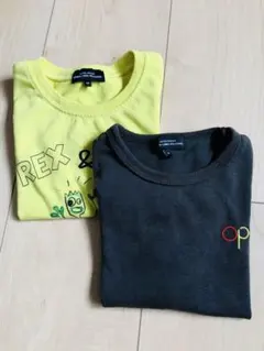グリーンレーベル95サイズTシャツ【2点セット】のサムネイル