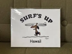 SURF'S UP PEANUTS Hawaii キャンバスアート - メルカリ