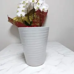 胡蝶蘭鉢 陶器鉢 植木鉢