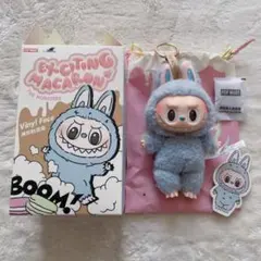 Exciting Macaron マカロン ラブブ シーソルトココナッツ