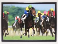 競馬 キングカメハメハ パネル 最速を極めた優駿たち