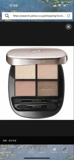 コスメデコルテ　スキンシャドウ　デザイニング　パレット　06