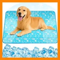 Item thumbnail for item 31ea1bb5-6430-453d-b38d-77ec3e8734d5