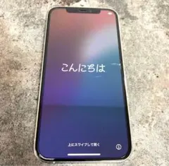 Apple iPhone 12 Pro 本体　256GB ジャンク扱い