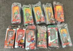 仮面ライダー ソフビパッケージチャーム&チョコスナック