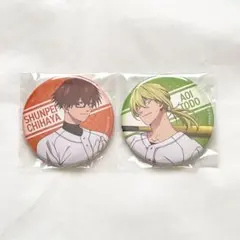 忘却バッテリー　千早瞬平　藤堂葵　缶バッジ