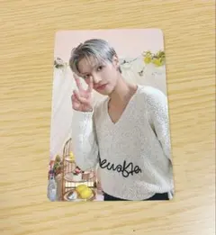 mighteez タレントカード