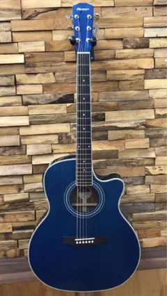 2025年最新】morris エレアコの人気アイテム - メルカリ