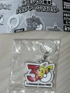 ポケモン30周年　メタルチャームマスコット