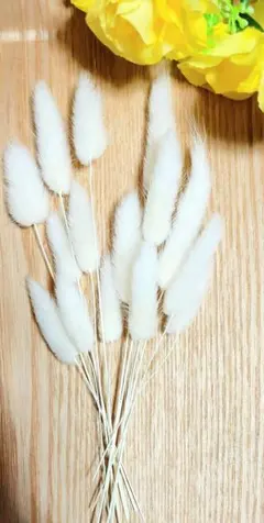 ふわふわラグラス ホワイト ドライフラワー 15本セットハンドメイド資材