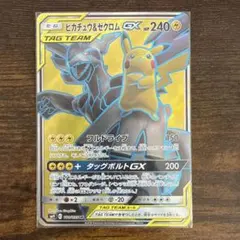 2025年最新】ゼクロムSRの人気アイテム - メルカリ