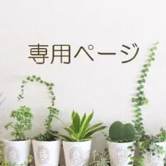 きさちゃん様専用★ピアス２点おまとめ