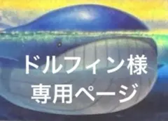 ドルフィン様　専用ページ　まとめ売り