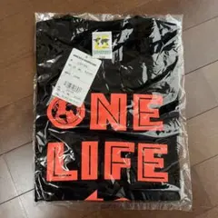 ルースイソンブラ　Tシャツ 150cm