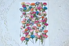 mako★オーダー制作お休み中★様 リクエスト 2点 まとめ商品