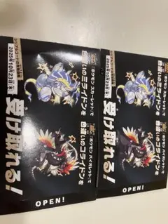 色違いミライドン　コード　ミライドンのみ　2枚