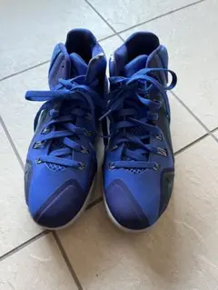 Nike バスケットボールシューズ 青　28センチ
