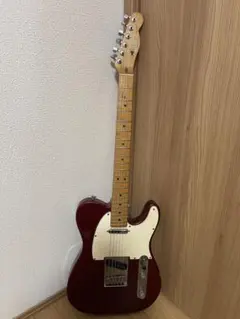 Fender テレキャスター 黒 ポルノグラフィティ 新藤晴一 生田鷹司