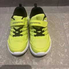 瞬足20センチスニーカ