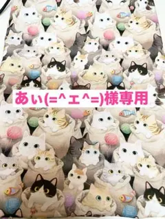 あぃ(=^ェ^=)様専用