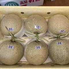 糖度19!! 「太陽の華」富良野メロン 2玉 品種：ティアラ - メルカリ