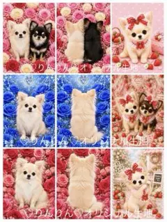 パネル生地 犬柄 いちごとさくらんぼ チワワ 先着5枚 8/8 - メルカリ