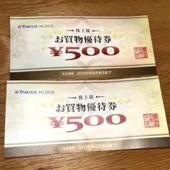 YAMADA HLDGS. お買物優待券 ¥500 2枚