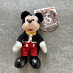 ディズニー 35周年 ミッキー ミニー ぬいぐるみ ぬいぐるみバッジ セット 東京ディズニーランド 35周年 ミッキー ミニー ぬいぐるみバッジ