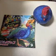 ジャングルアンドコ　カンムリシャコ　スーパーレアバイカラー