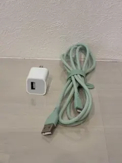 オウルテック Lightningケーブル 充電器セット